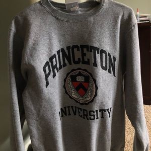 princeton university champion sweatshirt